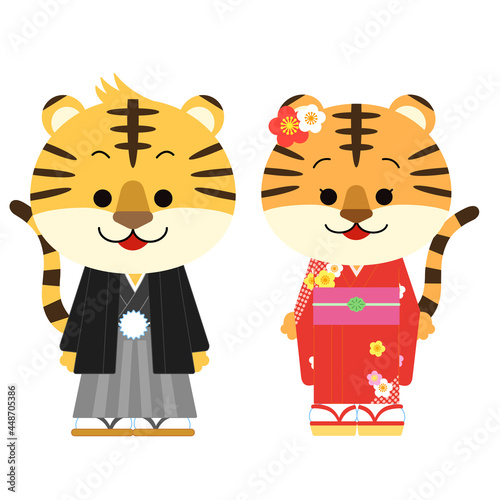 着物を着たかわいいトラのペア