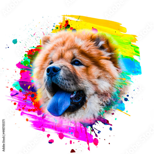 illustration of a dog on a ...