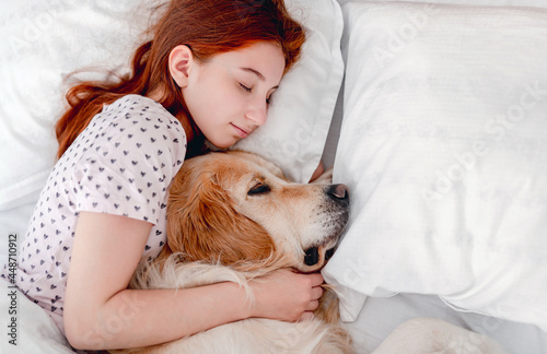 Girl with golden retriever dog in the bed © tan4ikk