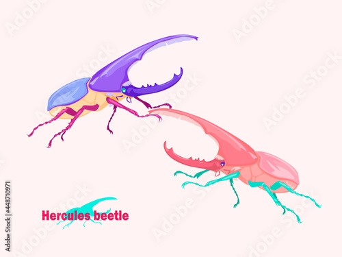 Hercules beetle