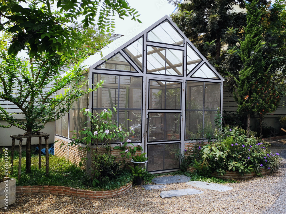 Greenhouse in back garden with open door, horticultural conservatory for growing vegetable, flowers. Classic cultivate greenhouse gardening.