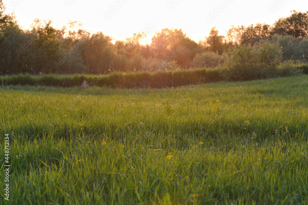 Obraz premium Landscape view on the field