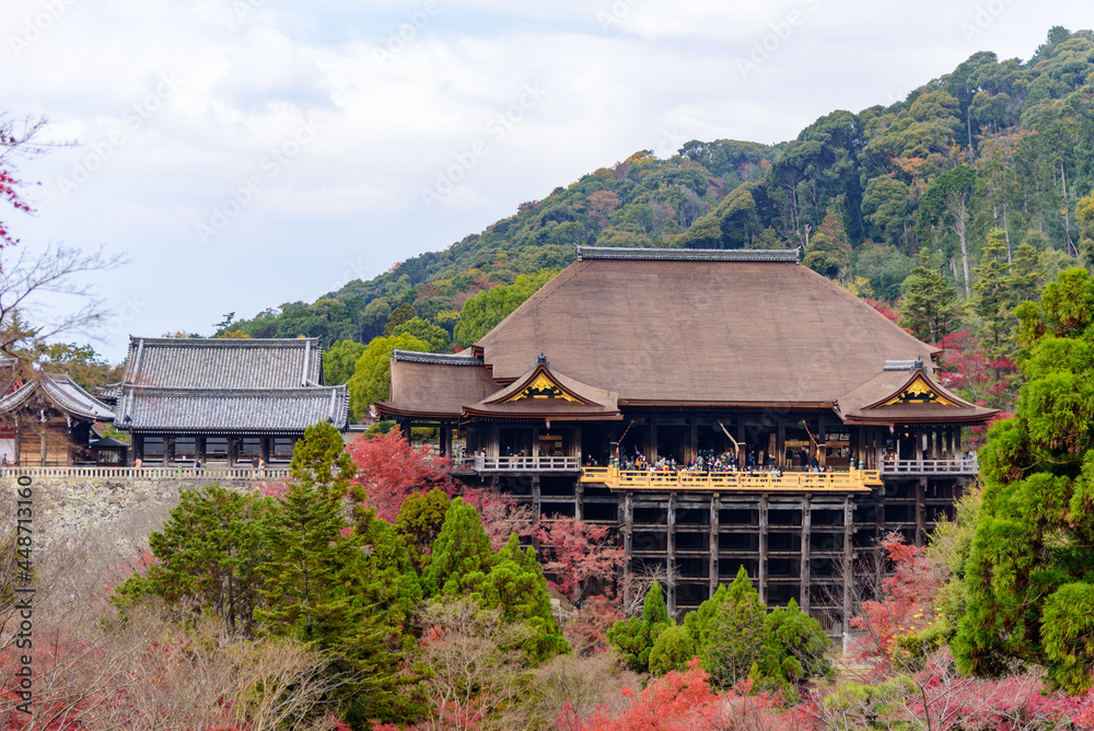 Renewed Kiyomizu Temple