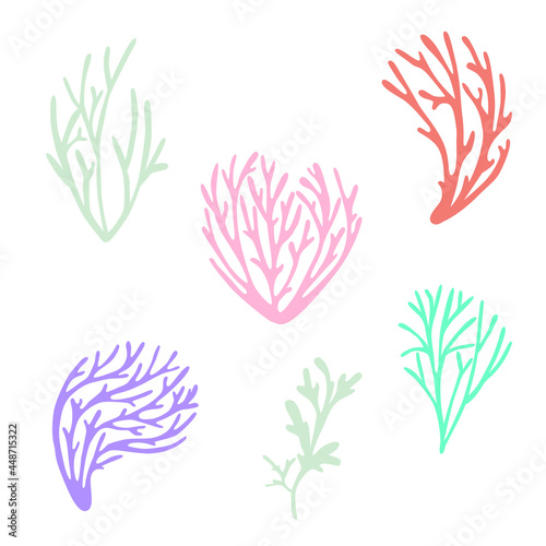 Set of six seaweed on a white background