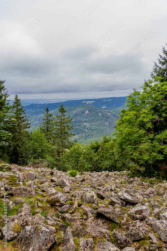 Sommerwanderung durch die schöne Natur Thüringens Sommerwanderung durch die schöne Natur Thüringens