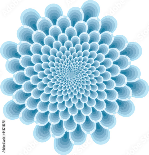 Blue petal Placed in fibonacci pattern