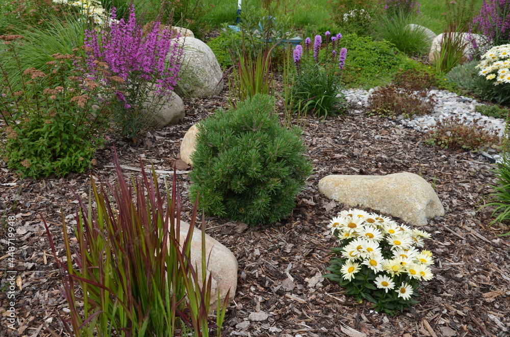 ornamental flower bed with perennial pine gray granite boulders