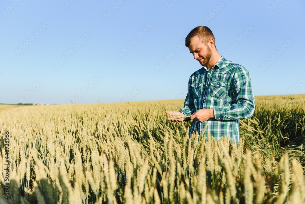 Portrait of a young handsome biologist or agronomist.