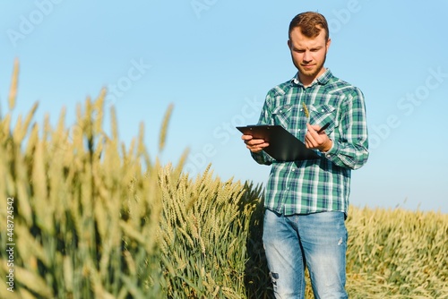 Farmer checking wheat field progress, holding tablet using internet. © Serhii