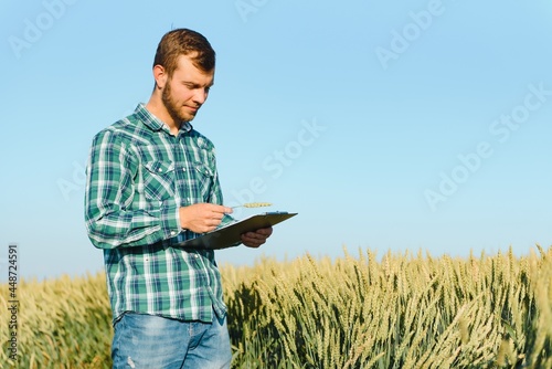 Happy young farmer or agronomist inspecting wheat plants in a field before the harvest. Checking seed development and looking for parasites with magnifying glass. Organic farming and food production
