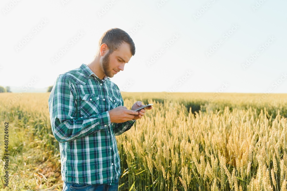 Farmer talking on mobile phone in the field on a sunny day Farmer talking on mobile phone in the field on a sunny day