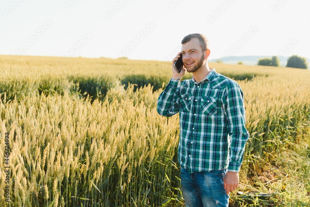 Young farmer in a wheat field before the harvest. Young farmer in a wheat field before the harvest.