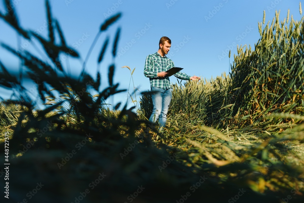 Portrait of a young handsome biologist or agronomist. Portrait of a young handsome biologist or agronomist.