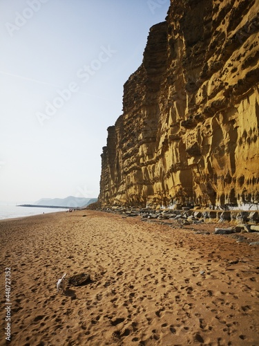 dog on the beach of seatown, dorset, uk photo