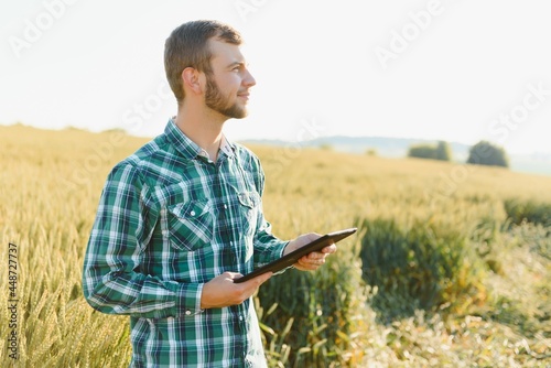 Farmer checking wheat field progress, holding tablet using internet.