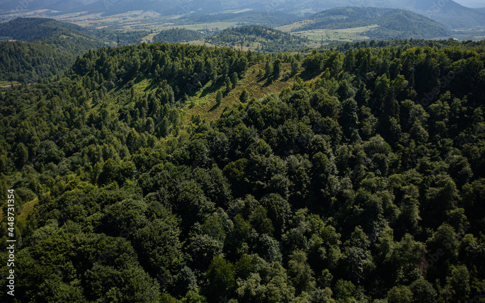 Skole Beskids National Nature Park. Closeup view from drone on forest, mountain. Wallpaper, texture Skole Beskids National Nature Park. Closeup view from drone on forest, mountain. Wallpaper, texture