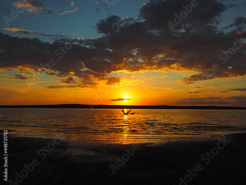 Summer sunset on the Kama river. Driftwood in the water. Beautiful clouds. Russia  Ural  Perm Territory  Elovo.