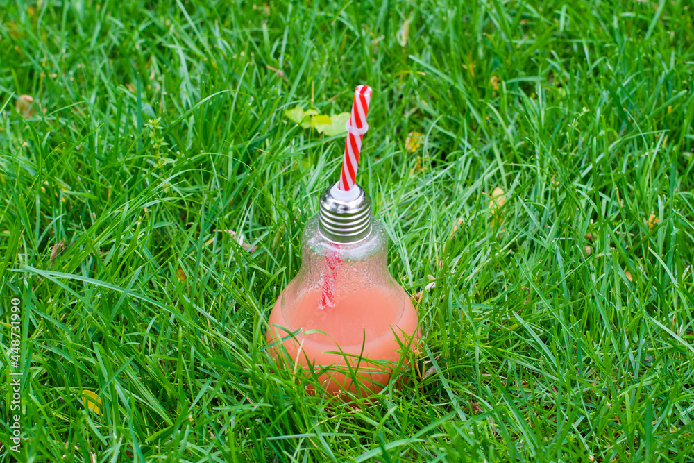 Glass bottle with juice on the grass in the park. Healthy nutrition and zero waste concept. Glass bottle with juice on the grass in the park. Healthy nutrition and zero waste concept.
