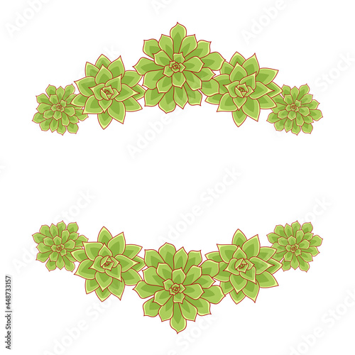 Succulent echeveria vector frame. Hand drawn desert flower illustration in flat style. Set silhouette succulents on a white background. Border from plants for print and design.