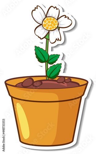 A white grass flower in a pot sticker