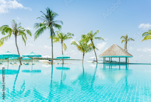 Luxury Tropical Swimming Pool with palm trees and reflection © 18042011