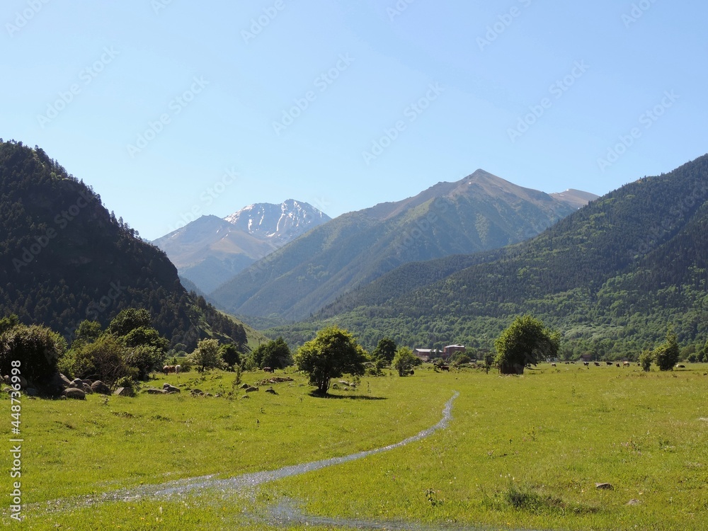 A stream with mountain melt water flows through a field with green grass. Thawed mountain water. Mountains in summer without snow, blue sky on a clear day. 