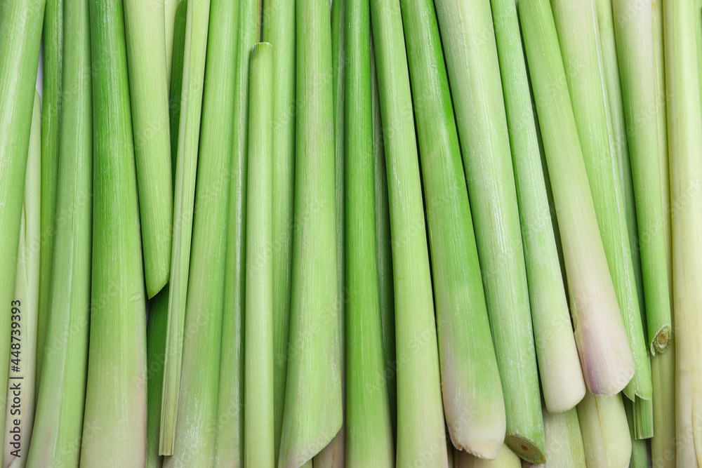 Fresh aromatic lemongrass as background, closeup view Fresh aromatic lemongrass as background, closeup view