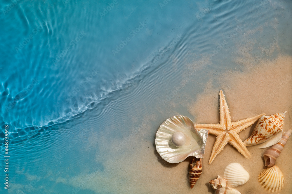 Starfish and seashell on summer beach in sea water. Summer background Starfish and seashell on summer beach in sea water. Summer background