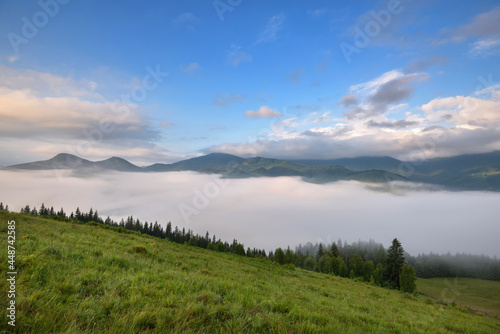 Fototapeta Naklejka Na Ścianę i Meble -  Foggy morning in the Carpathian mountains. Beautiful mountain valley is covered with fog. Ukraine, Europe.