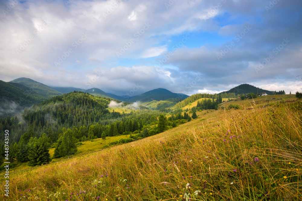 Amazing mountain landscape with fog and colorful herbs. Sunny morning after rain. Carpathian, Ukraine, Europe