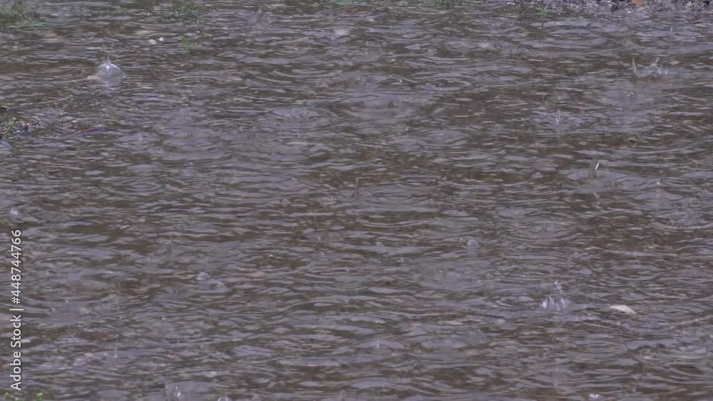 Raining, Torrential Rain, Storm, Summer Rainy Day, Raindrops on Ground, Stormy in Nature, Bad Weather and Inundation, Flooding Raining, Torrential Rain, Storm, Summer Rainy Day, Raindrops on Ground, Stormy in Nature, Bad Weather and Inundation, Flooding