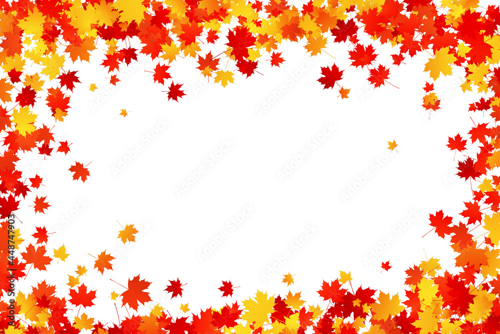 Autumn maple leaves border frame on white background. Vector