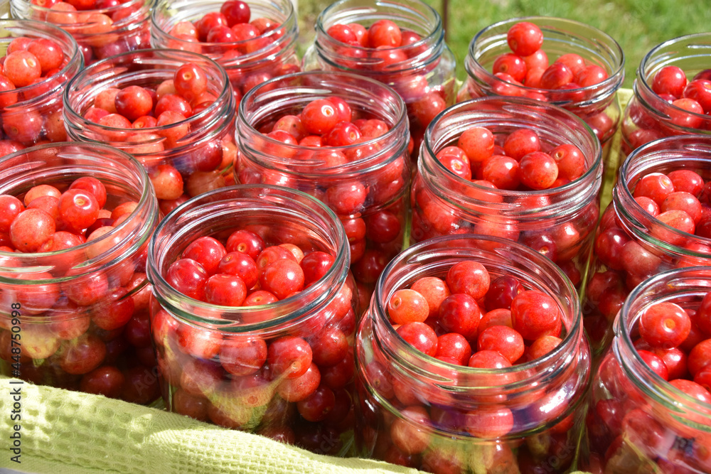 Cherry compote being prepared for winter preservation in a big pot on a stove, where all bacteria is destroyed because of heat. Cherry compote being prepared for winter preservation in a big pot on a stove, where all bacteria is destroyed because of heat.