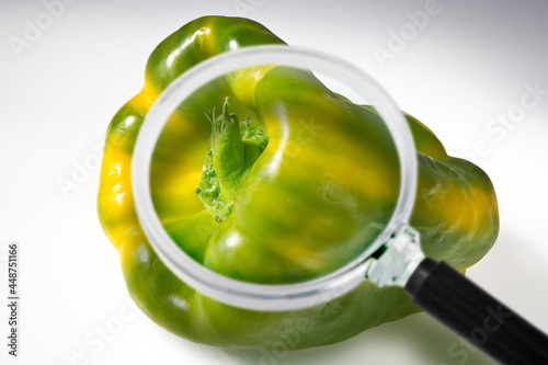HACCP (Hazard Analyses and Critical Control Points) - Food Safety and Quality Control in food industry - concept with biological pepper seen through a magnifying glass photo