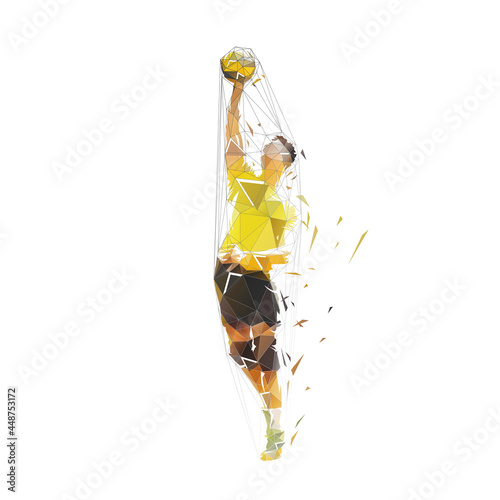 Volleball player with ball, isolated low polygonal vector illustration. Geometric drawing from triangles