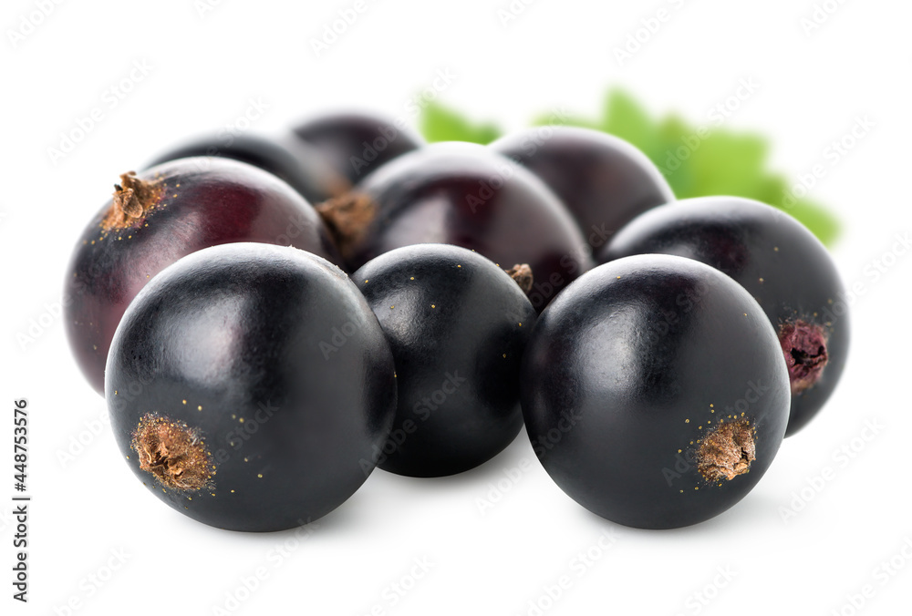 Pile of black currant Pile of black currant
