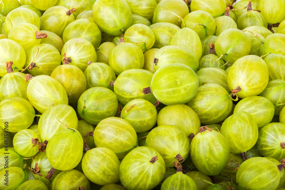 Background of gooseberry Background of gooseberry