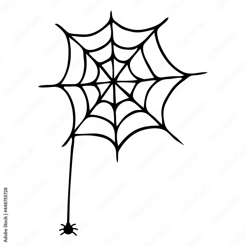 Single vector illustration of a spider web and a spider. Hand-drawn spider web, Halloween icon Single vector illustration of a spider web and a spider. Hand-drawn spider web, Halloween icon