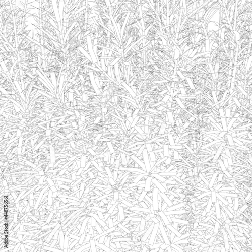 Background with many lines in the form of a plant from black lines, Isolated on a white background. Vector illustration