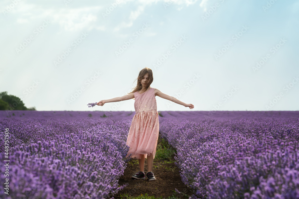 Beautiful little girl with a pink dress enjoying between rows of blooming lavender field Beautiful little girl with a pink dress enjoying between rows of blooming lavender field