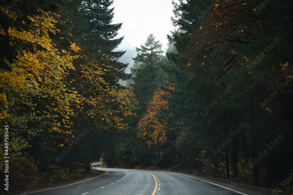 Fototapeta premium Road 58 Oregon 4