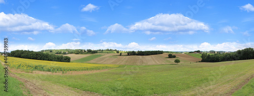 Panorama, vue sur la campagne sous le ciel bleu, agriculture et champs cultivés