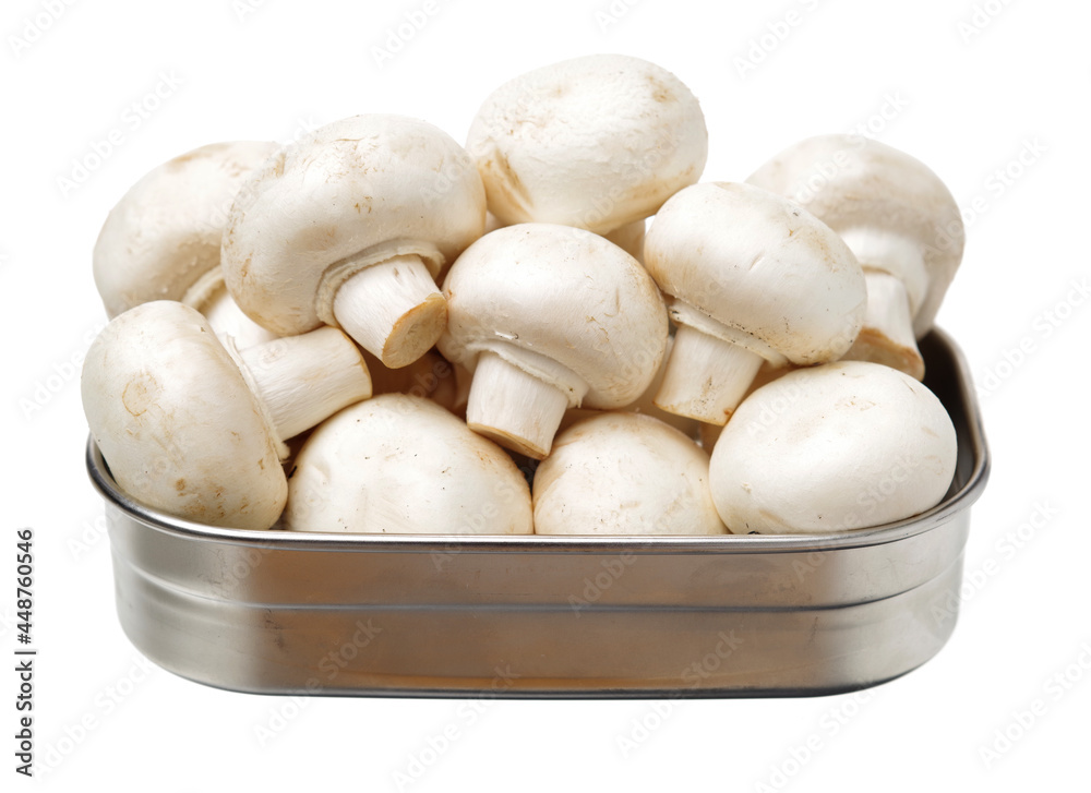 White mushrooms on white background White mushrooms on white background