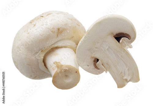 White mushrooms on white background
