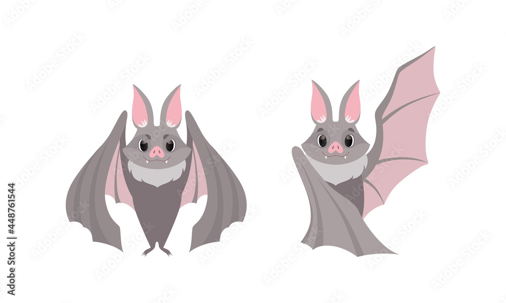 Funny Gray Bat with Cute Snout as Flying Night Creature with Spread Wings Vector Set Funny Gray Bat with Cute Snout as Flying Night Creature with Spread Wings Vector Set