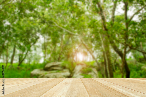 Empty top wooden table on soft blurred green tree in nature