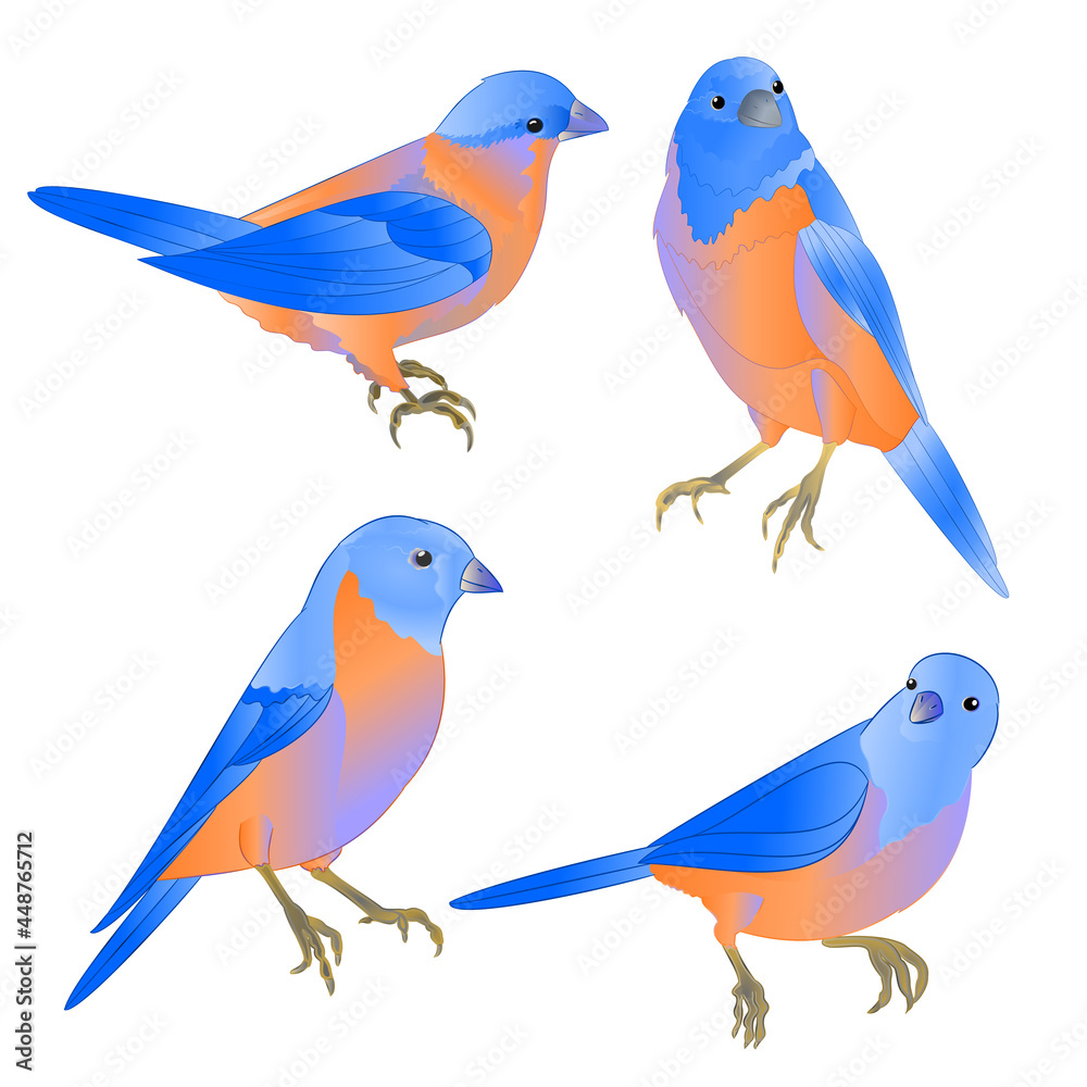 Bluebirds small birds thrush on a white background watercolor vintage set two vector illustration editable hand draw Bluebirds small birds thrush on a white background watercolor vintage set two vector illustration editable hand draw