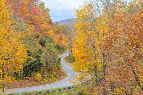 autumn landscape with road