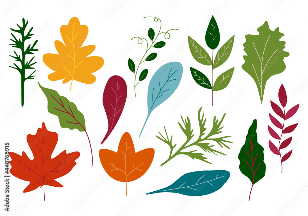 Fototapeta premium Vector clipart of different autumn twigs and leaves. Hand-drawn in a cartoon style