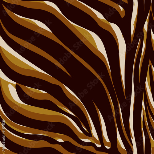 Seamless Pattern with zebra stripes - Animal Print
